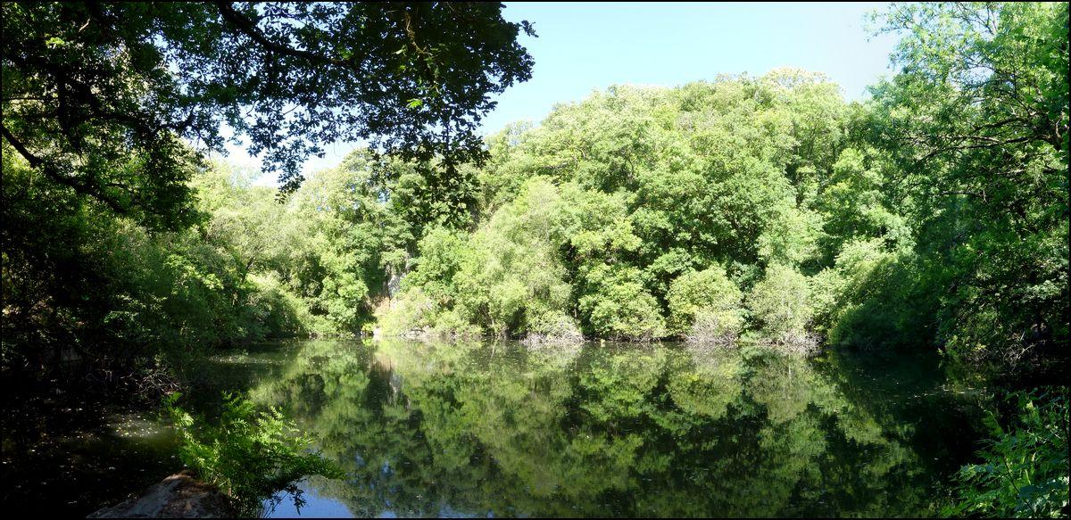 Eau noire à Châteauneuf du Faou