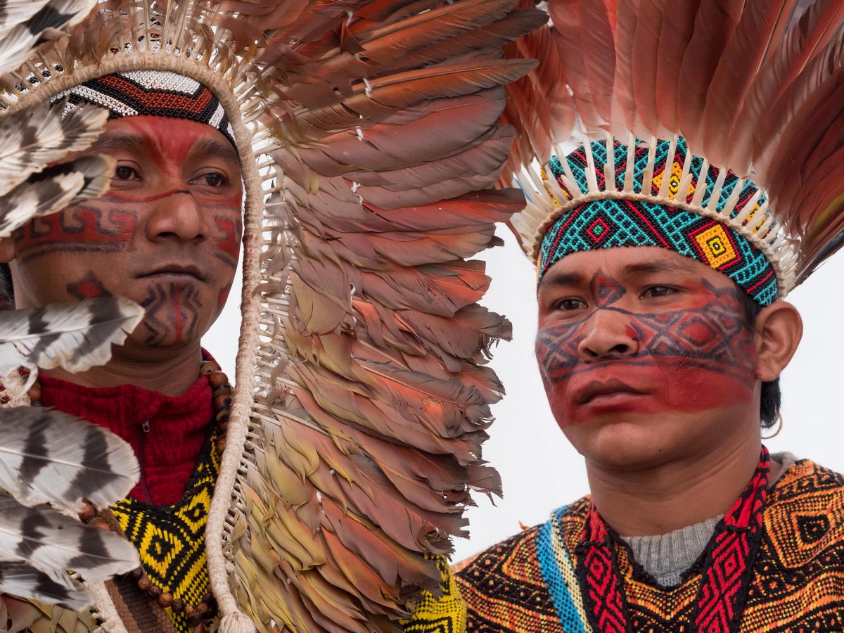 plumes d'Amazonie - 240mm f8 1/160 sec pour 1600 ziso