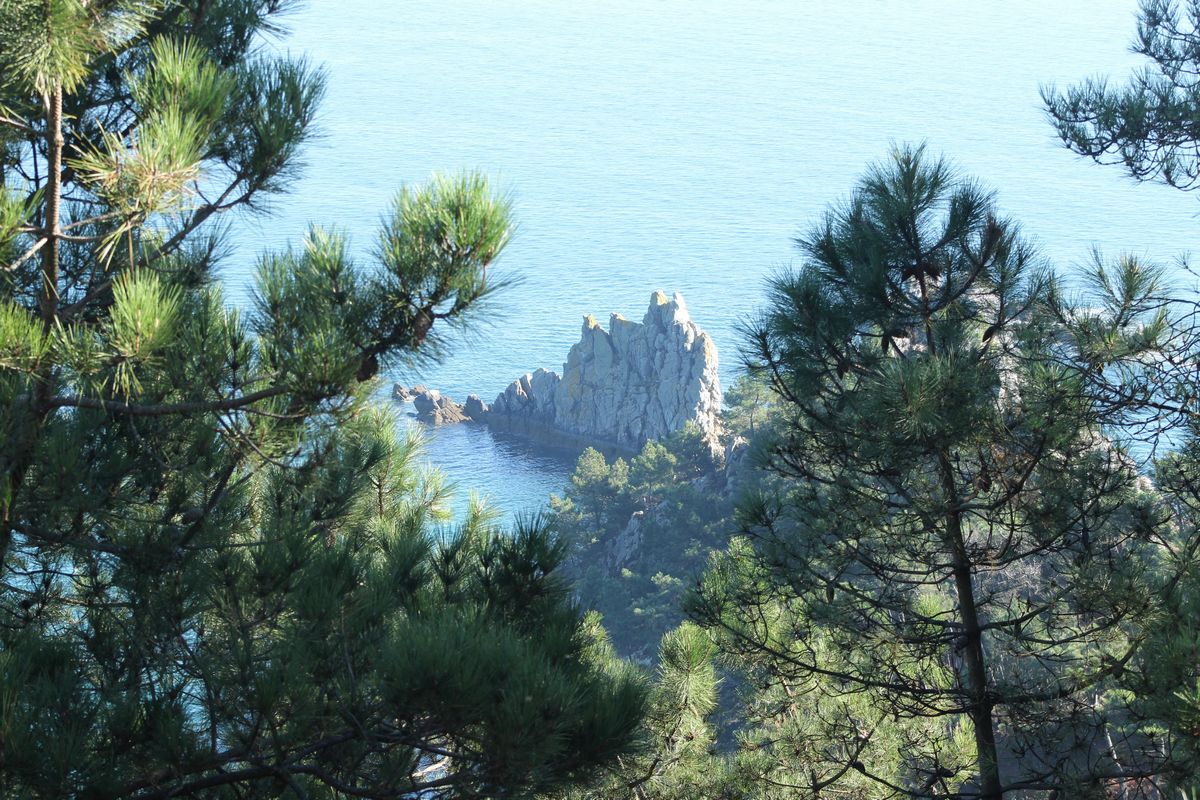 prise de vue a l’île vierge