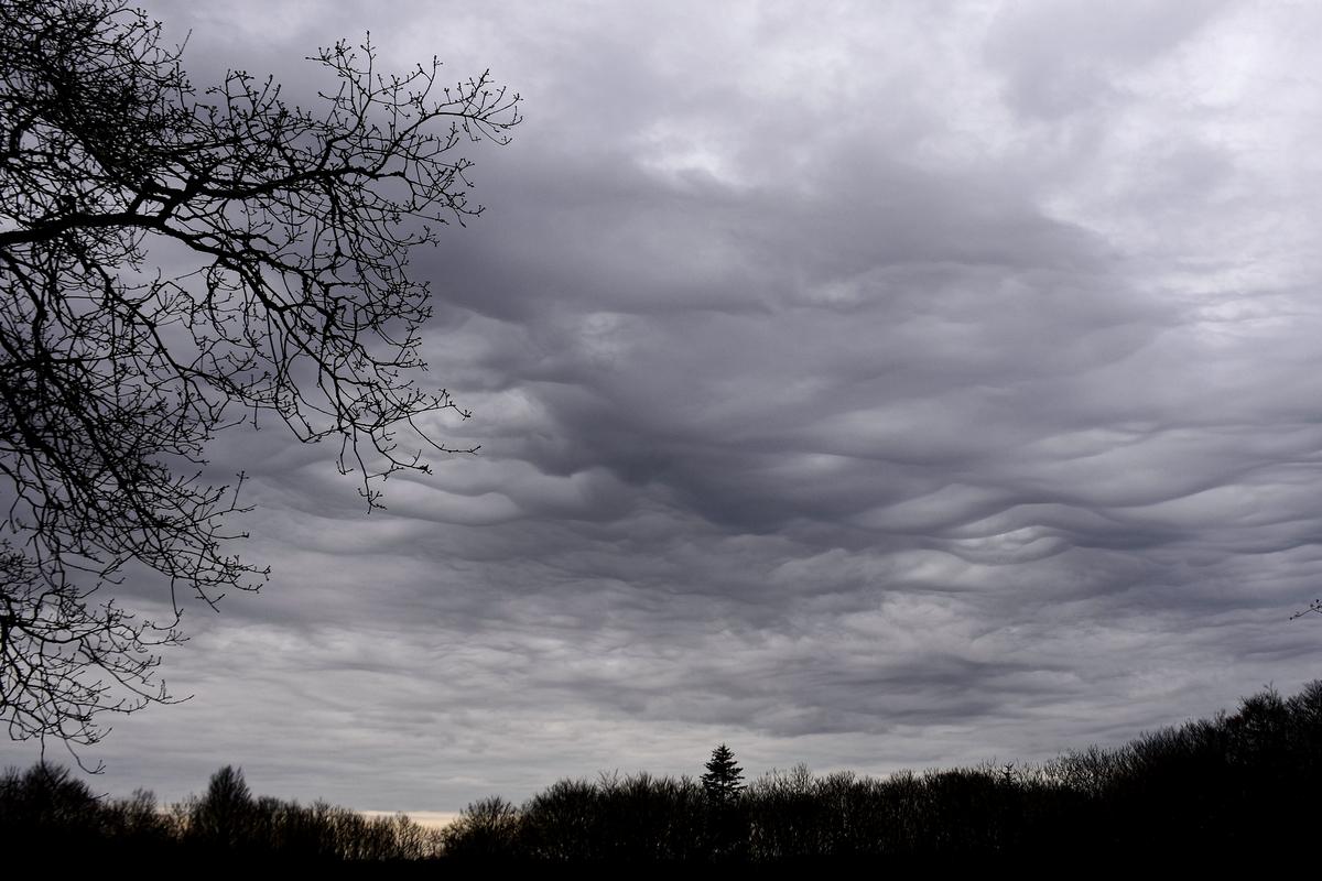 Ciel de coton